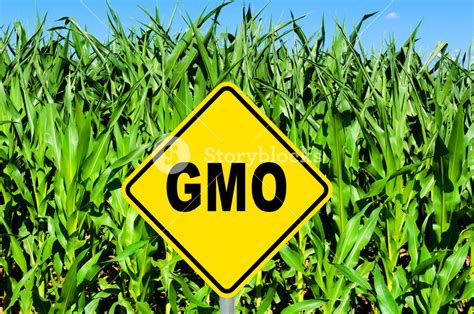 GMO Sign How It Works .
